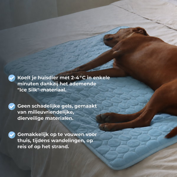 Comfortabele Huisdieren Koelmat